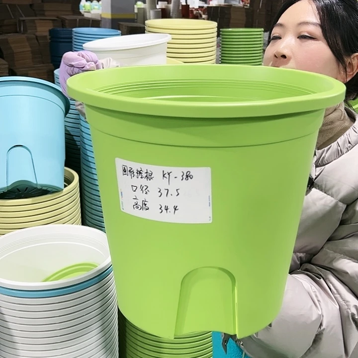 正品圆控口37.5高34.4果绿5只无托