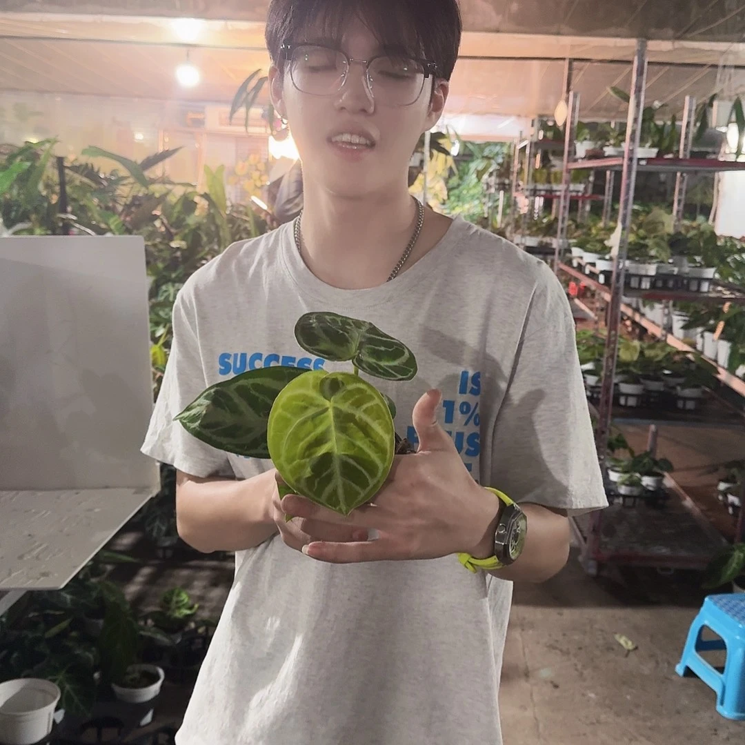 完全开放老弟叉烧一个随机走N33