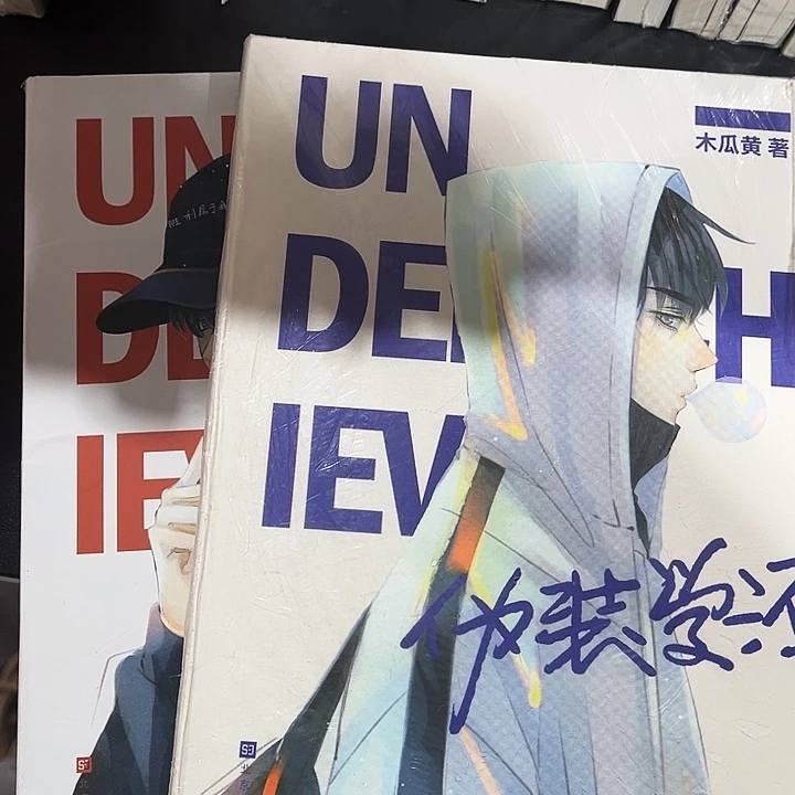 伪装学渣全新全套两本带周边未删减