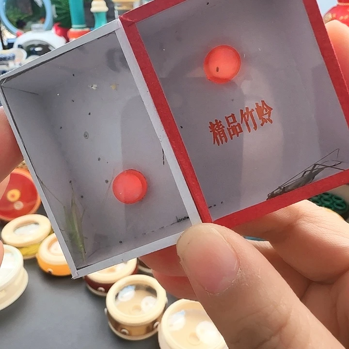 青竹➕紫竹啊啊啊啊