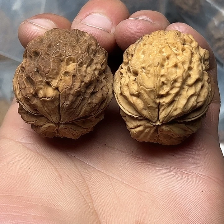 文玩核桃把件25号七彩蛤蟆40尺