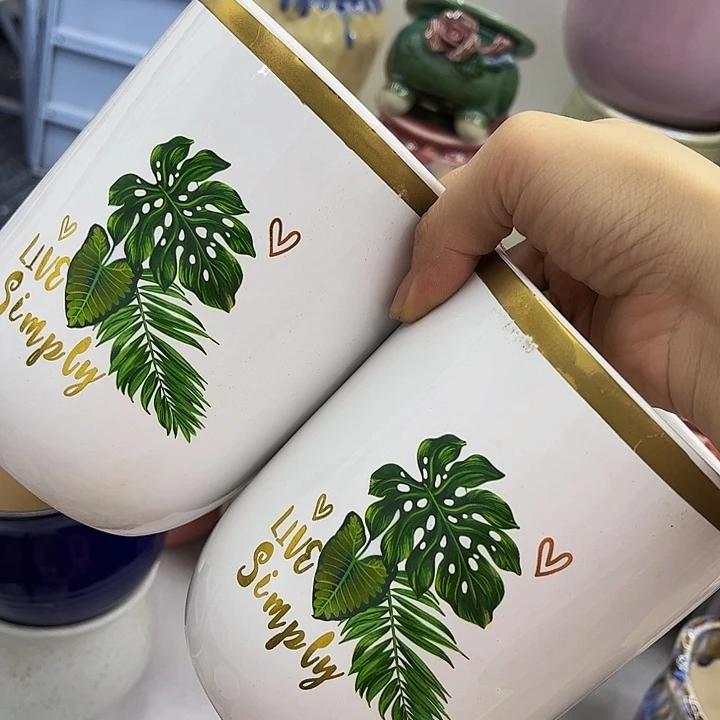 多肉绿植陶瓷花盆9.9包邮，有空