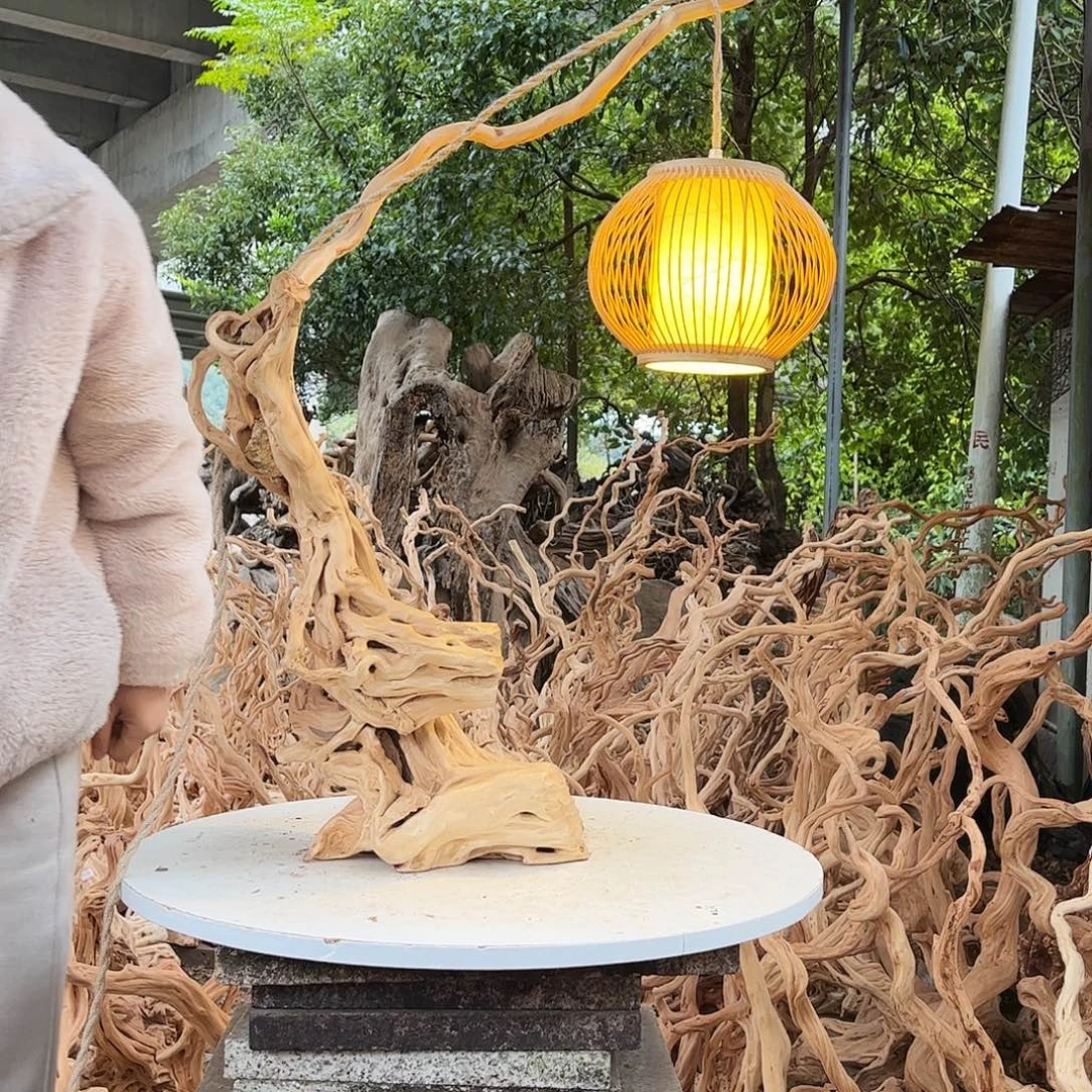 尽***命木我是一只小小鸟地域文化