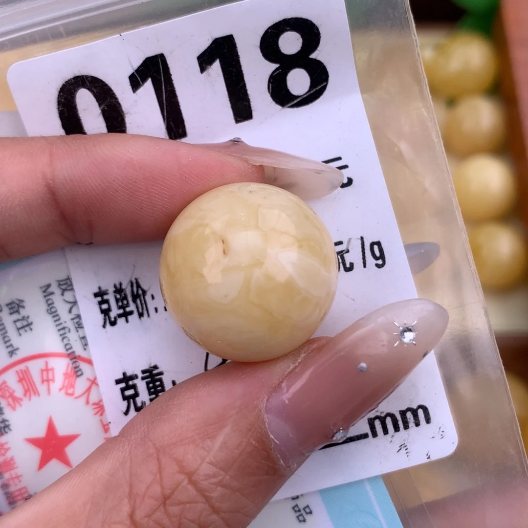 琥珀未镶嵌珠宝奇石19.9 植物