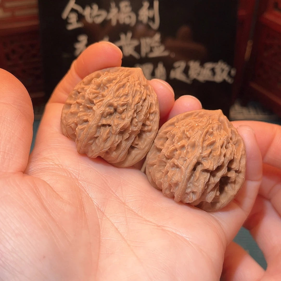 38全品三角虎……骨质牛