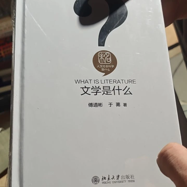 文学是什么精装塑封全新