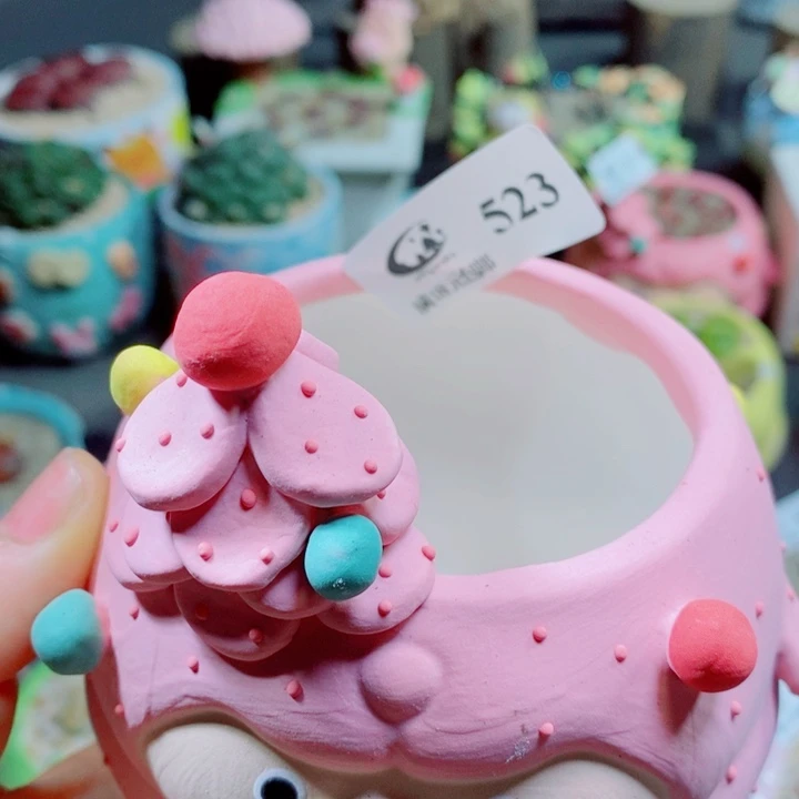 丫***仔生石花花花花花花花523