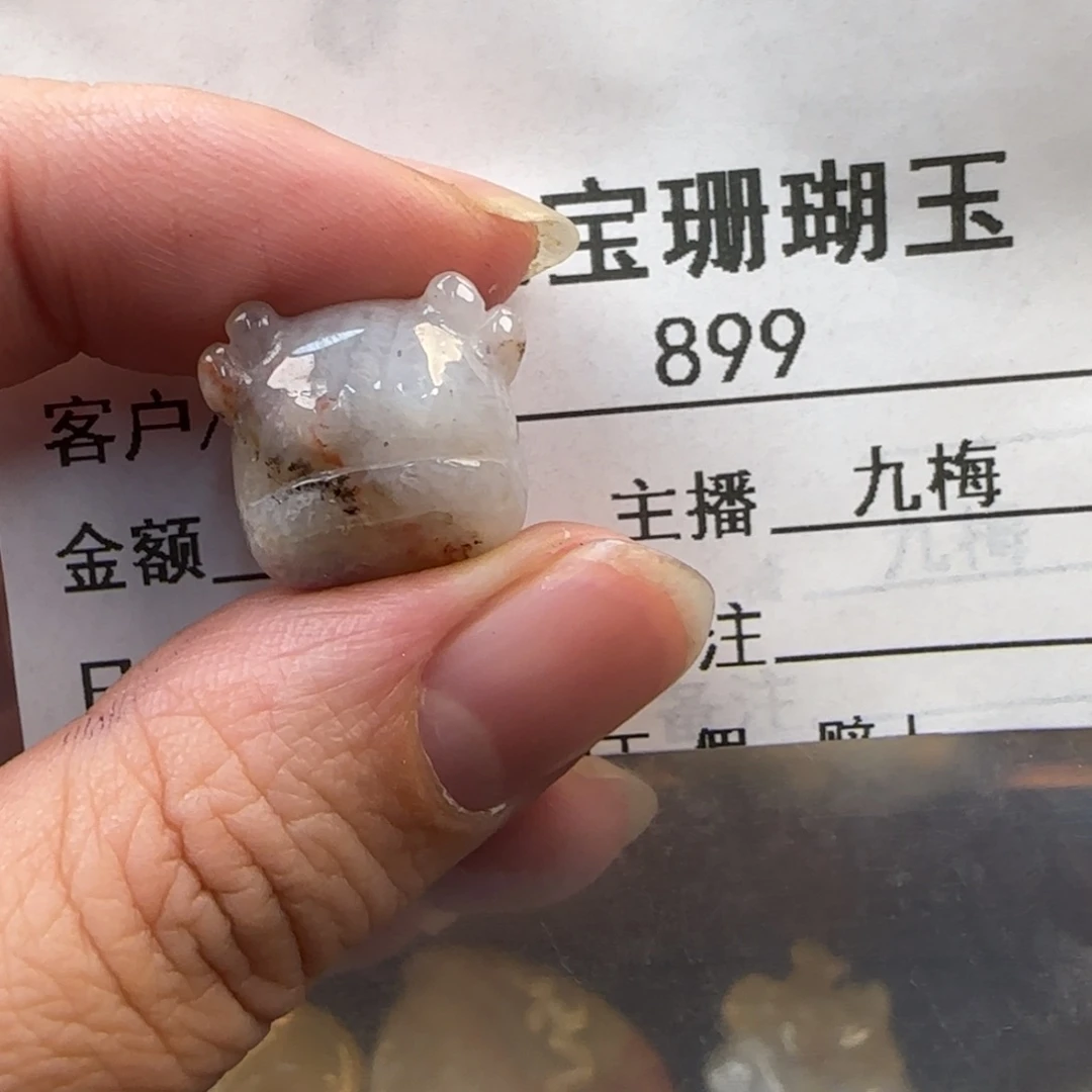 硅化珊瑚（珊瑚玉）未镶嵌颈饰