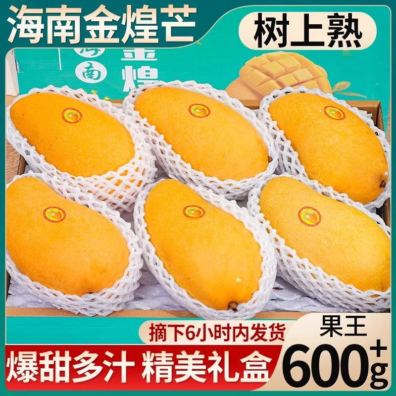 【树上熟】金煌芒果海南三亚水仙芒应季大青芒新鲜香甜鲜嫩多汁新鲜芒果
