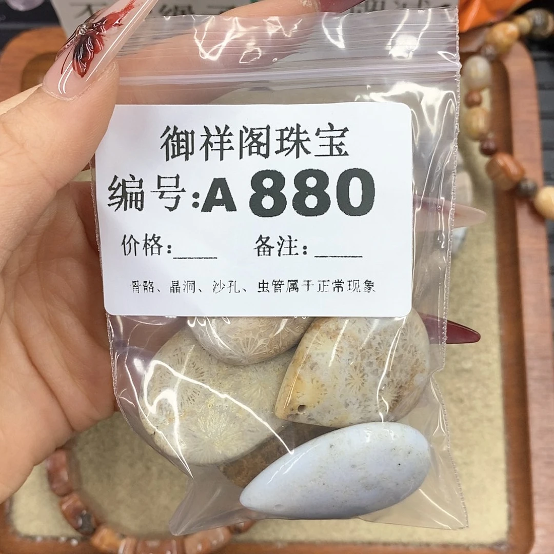 硅化珊瑚（珊瑚玉）颈饰未镶嵌栀*欣