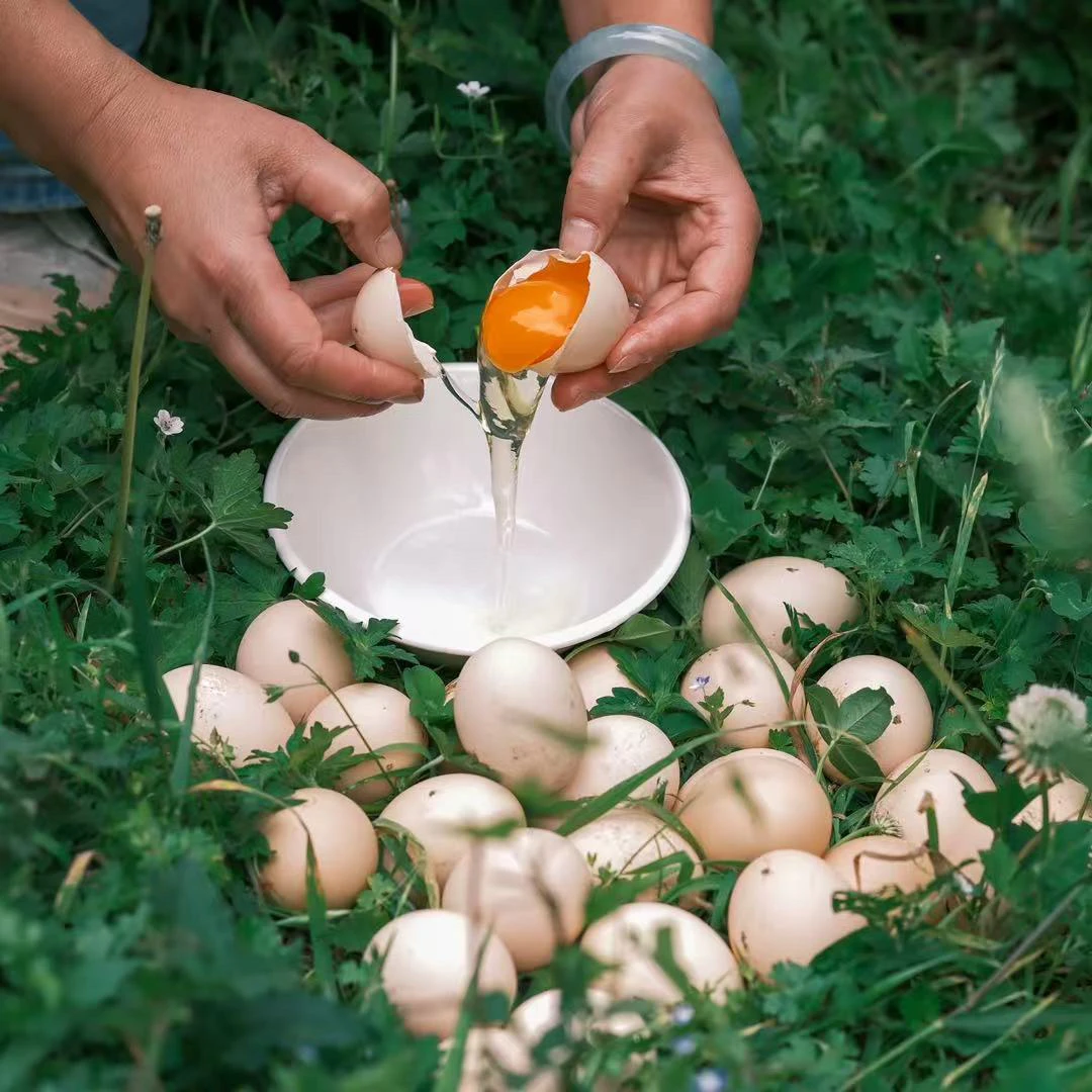 贵州农村正宗散养 新鲜土鸡蛋喂苞谷五谷鸡蛋30枚