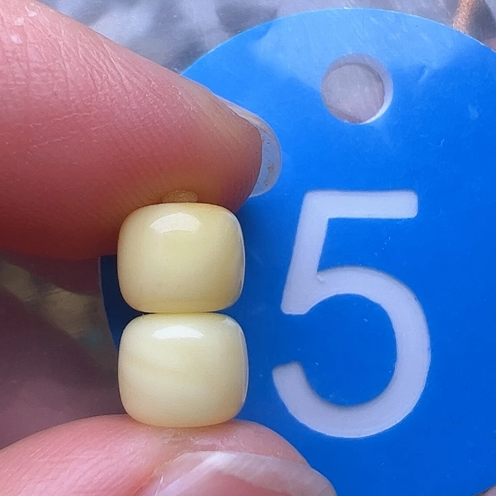 蜜蜡裸石未镶嵌7m m