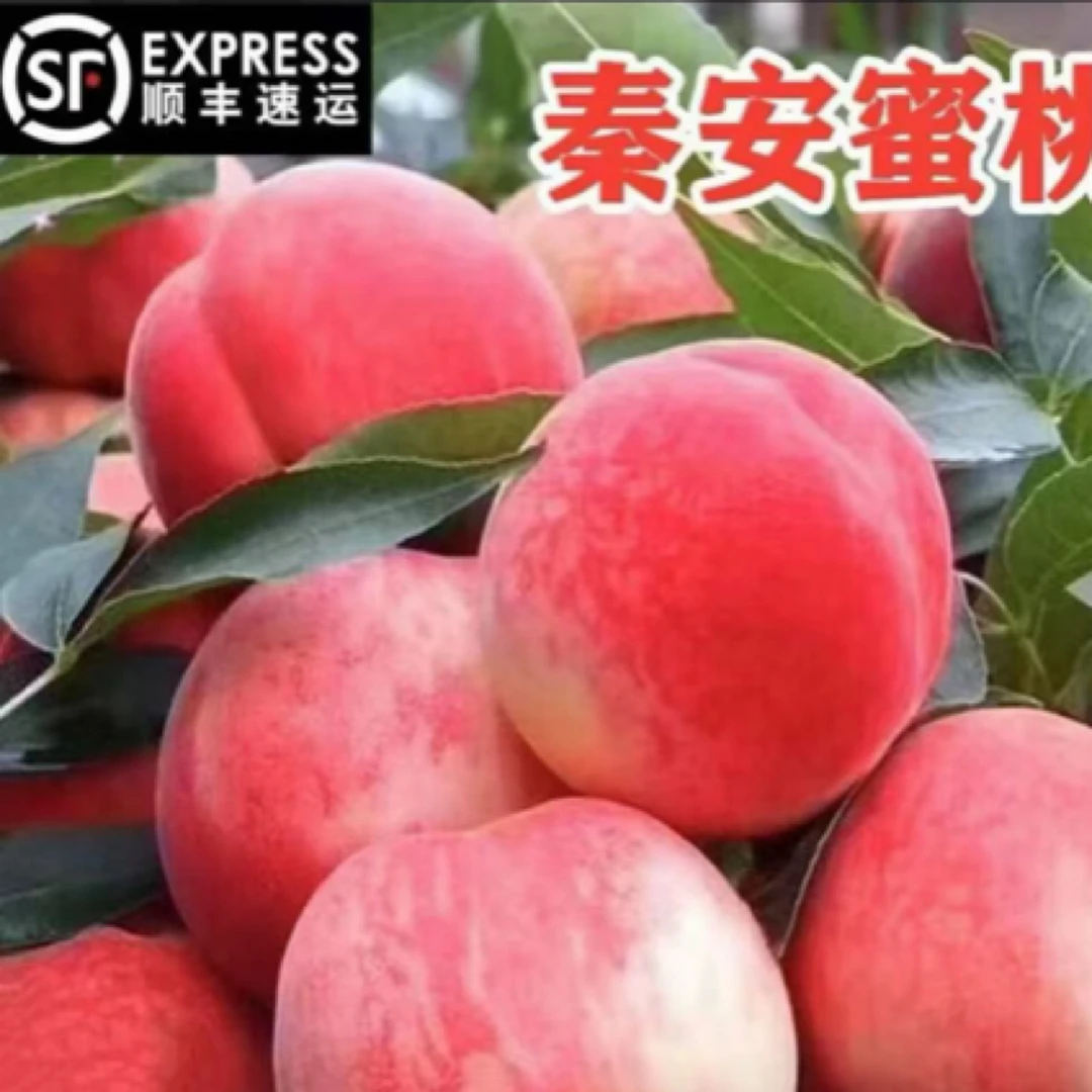 【礼好•甘肃】顺丰航空包邮正宗甘肃秦安蜜桃北京七号脆甜多汁