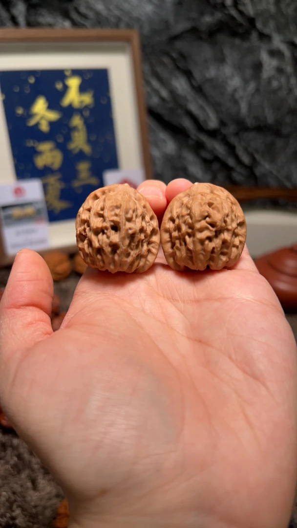 文玩核桃 原生树赤兔 7799 号32尺