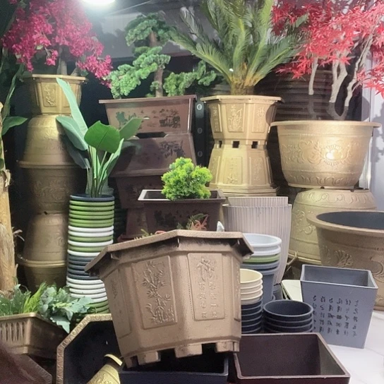 复合梅花照眼 依然旧风味