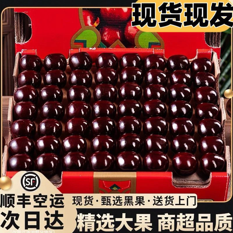 1.8-5斤特大果桑提娜智利车厘子脆甜爆汁孕妇海运J-5J内附果径卡