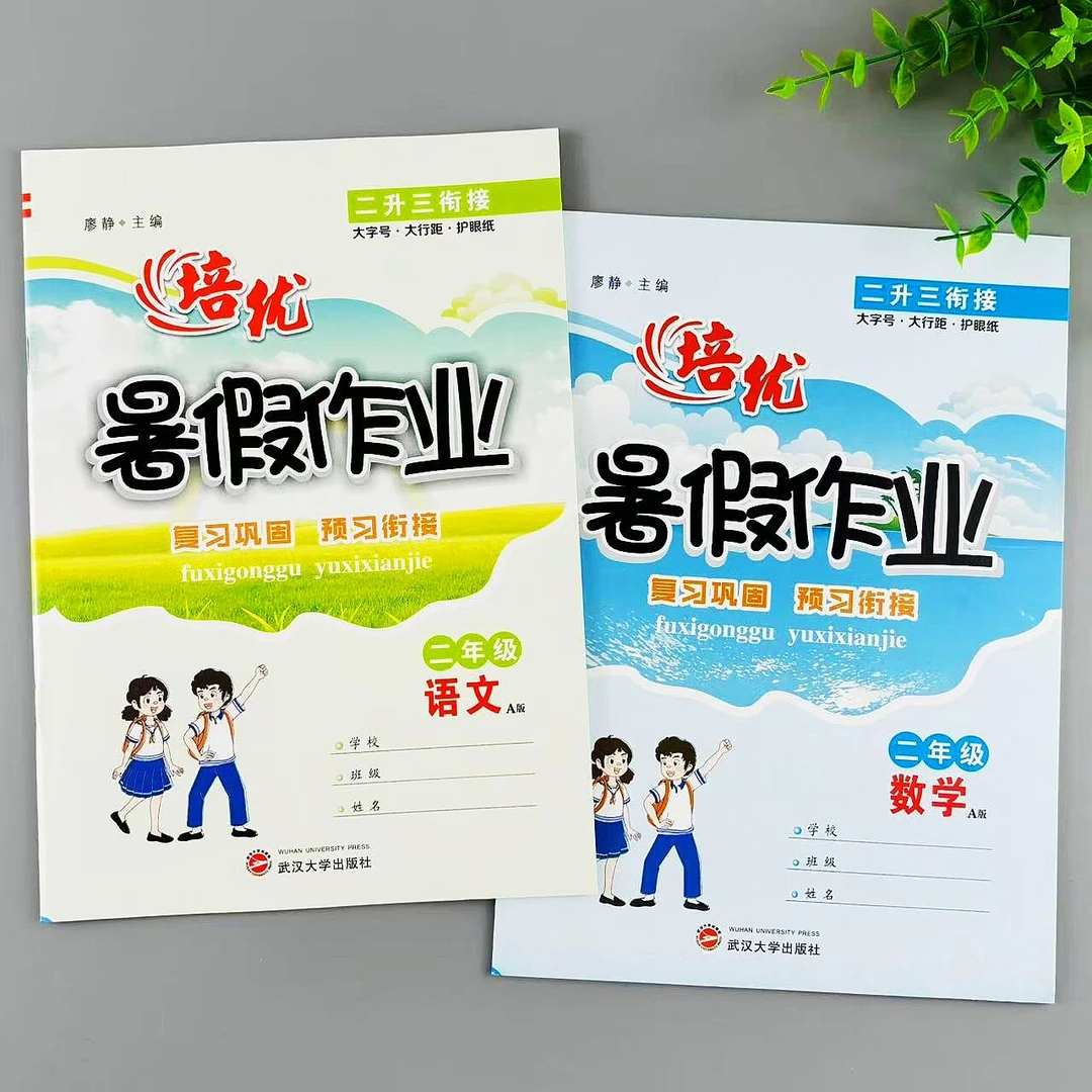 暑假作业二年级语文数学二升三暑假衔接训练复习预习作业培优训练