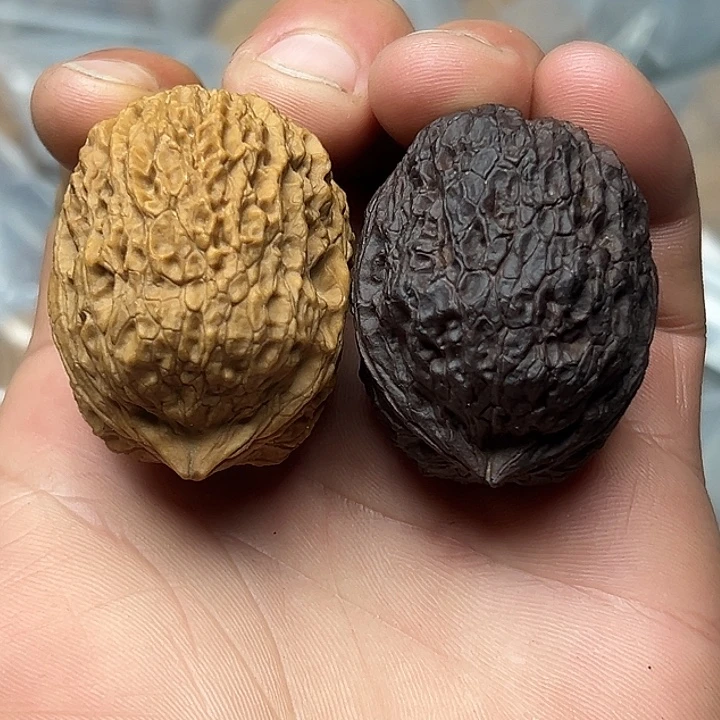 核桃15号铁狮子40尺