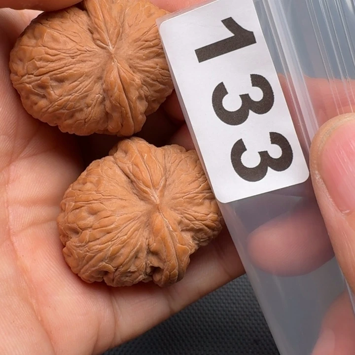 文玩核桃把件许*墩元宝40