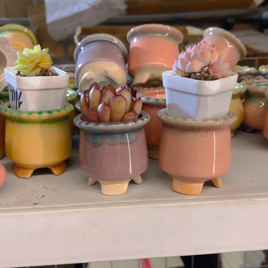 黎***s三个盆盆盆盆盆盆盆盆盆盆