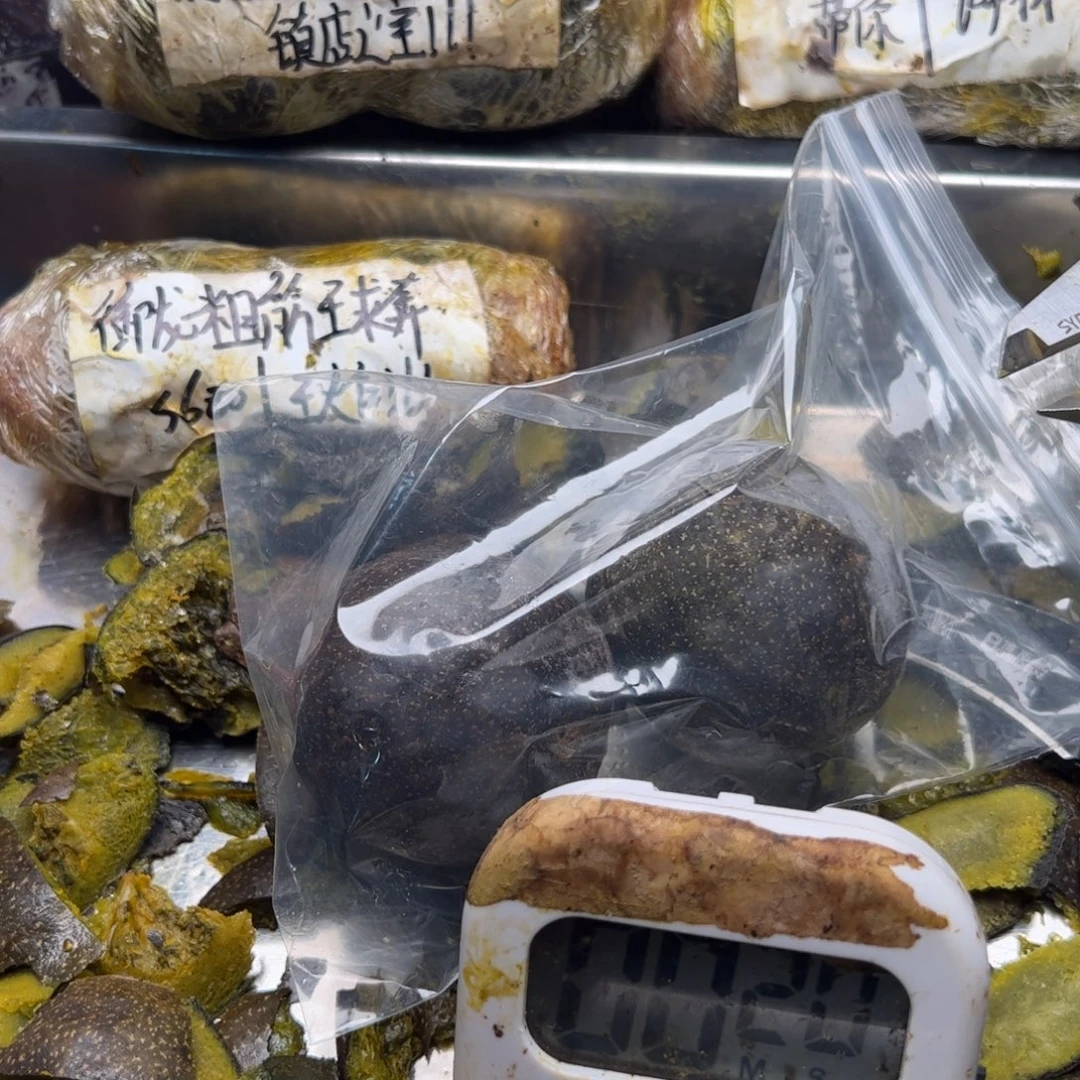 你***我刚回家叫你奶奶解决奶奶家