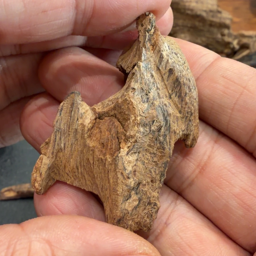 树脂制品越南芽庄土沉 5.4