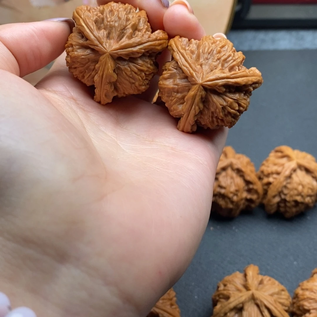 ?****?白狮子1111111111111