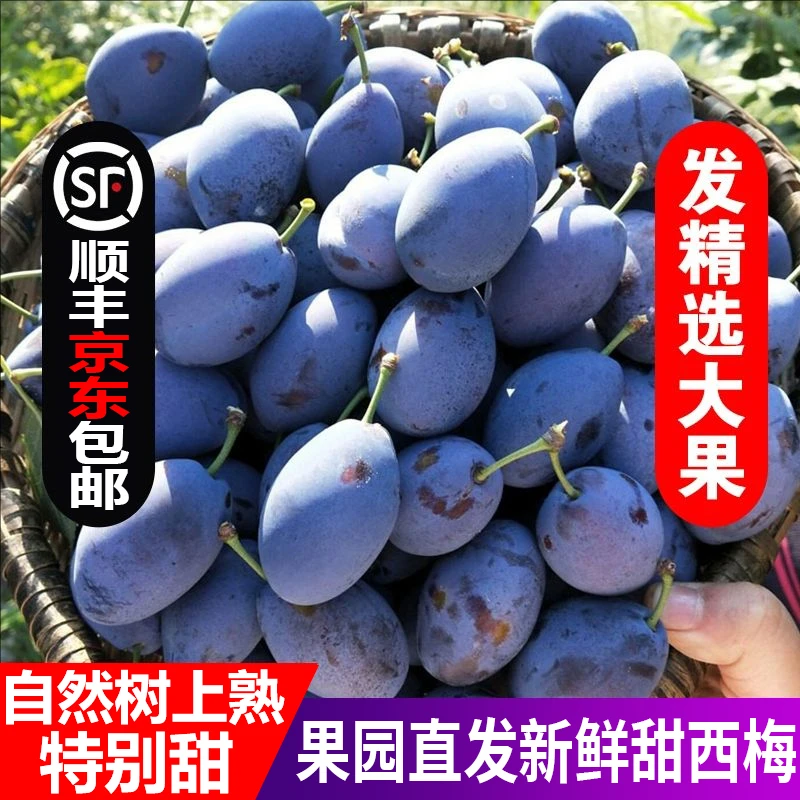 A京东顺丰包邮大西梅新鲜蓝蜜脆甜 当季孕妇水果