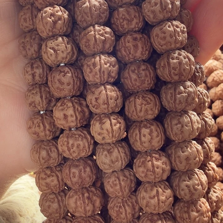 金刚菩提吊坠龙骨梅花10+