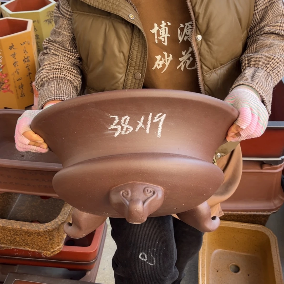 紫砂花盆盆景艺术