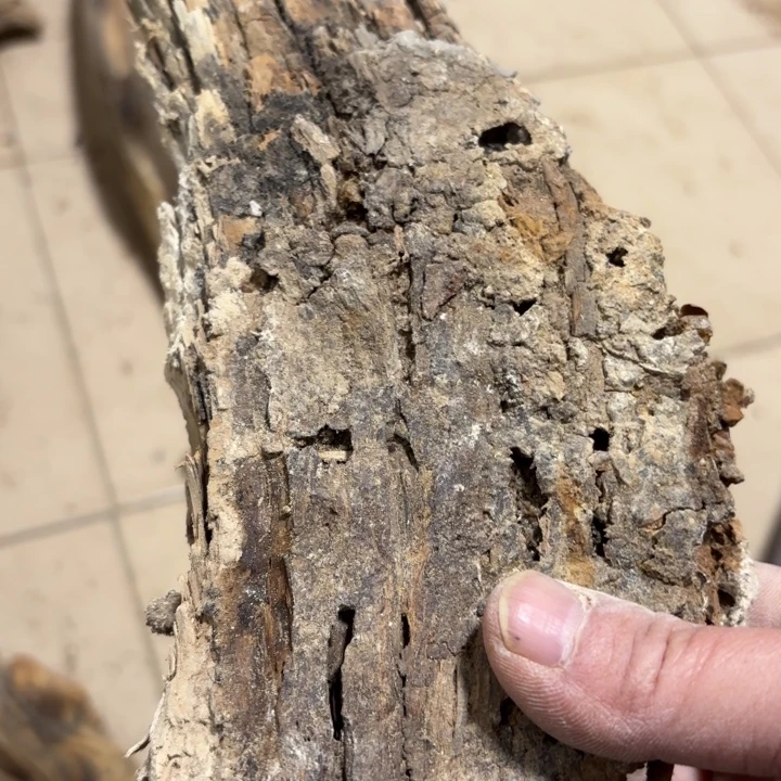 飞***龙有机玻璃太行崖柏