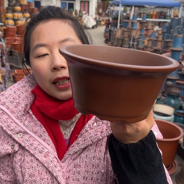 红泥碗大一个花盆，现在