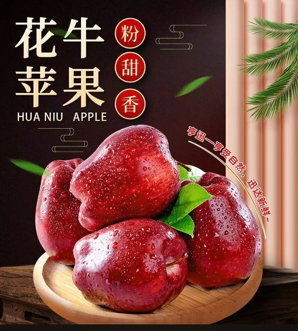 花牛苹果天水正宗新鲜当季孕妇水果粉面脆甜宝宝辅食苹果整箱包邮