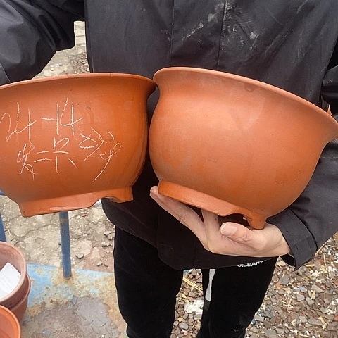 紫砂中国宜兴紫砂花盆，