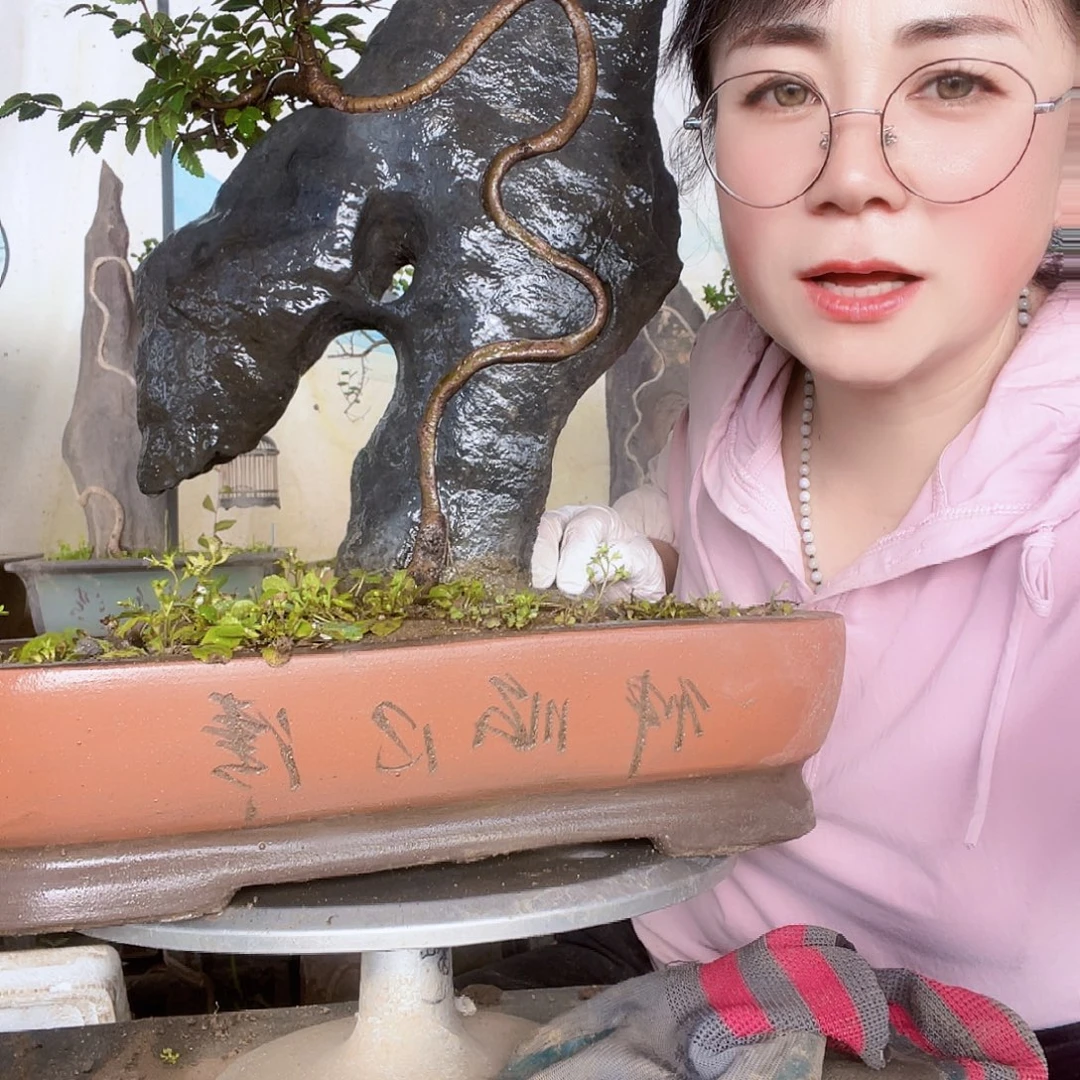 ****.无花朵直播间不见不散啦看起来有点