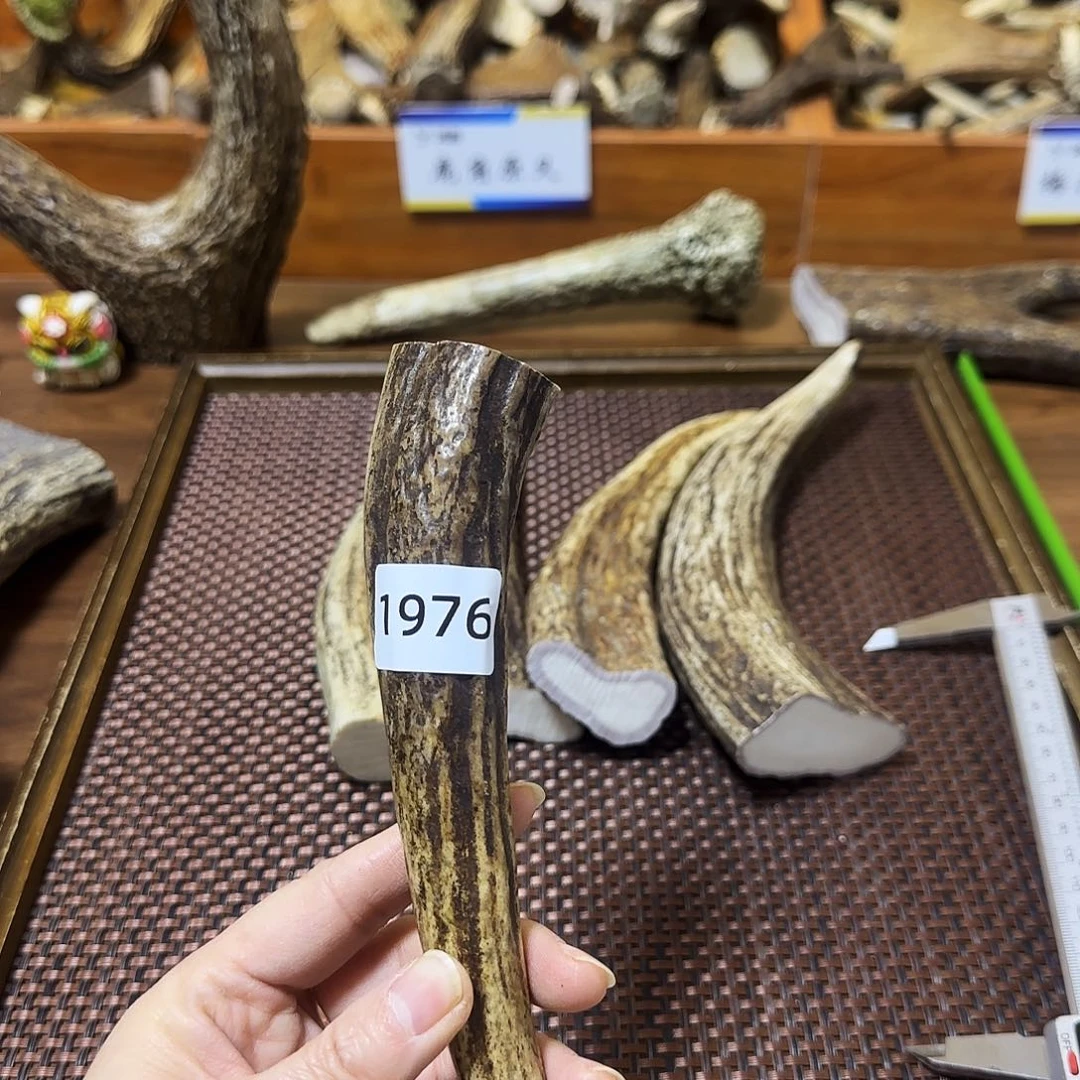 鹿骨手串/手链1976角尖