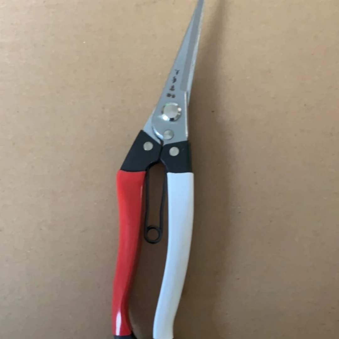 宗秀久剪叶芽枝剪