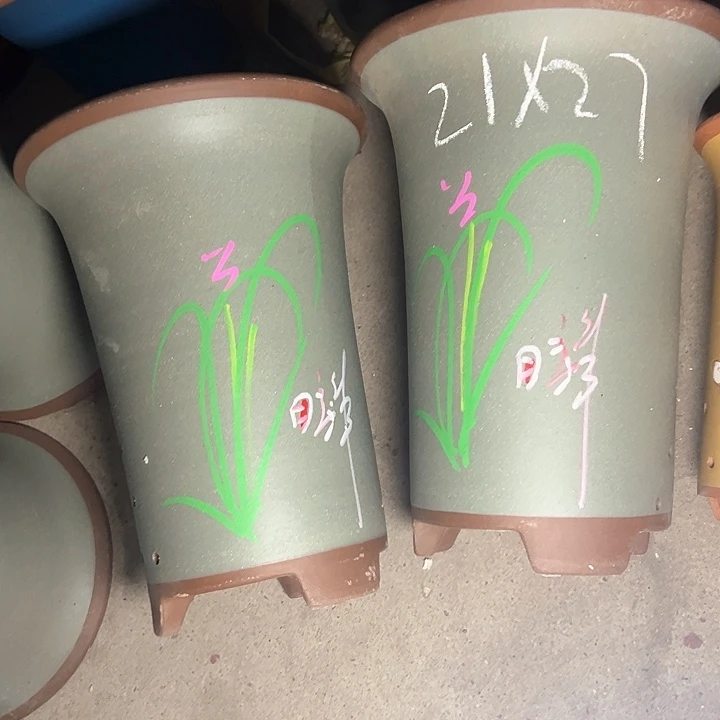 周三周四自始至终周三周四