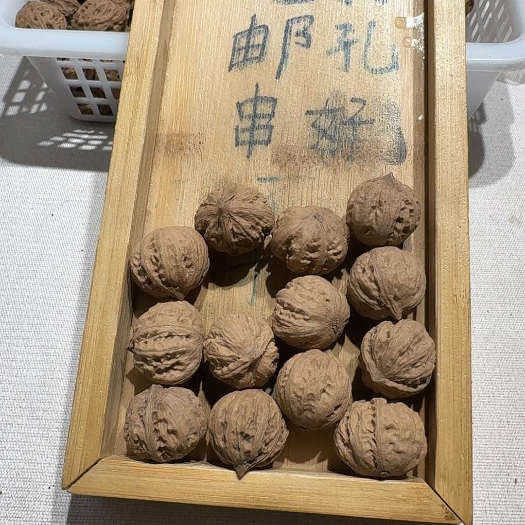 核桃手串/手链17号边22手串