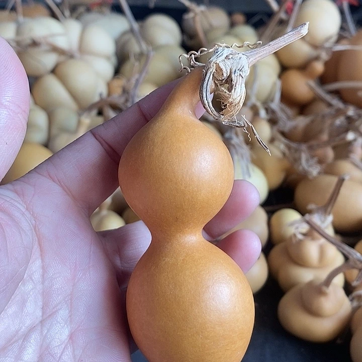 葫芦的颜色很好看