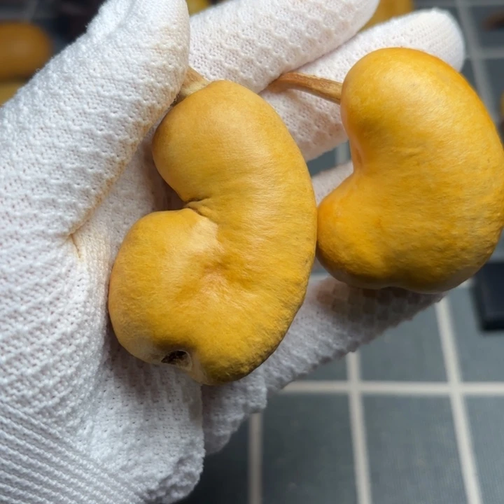 兔****坑6666666666666666