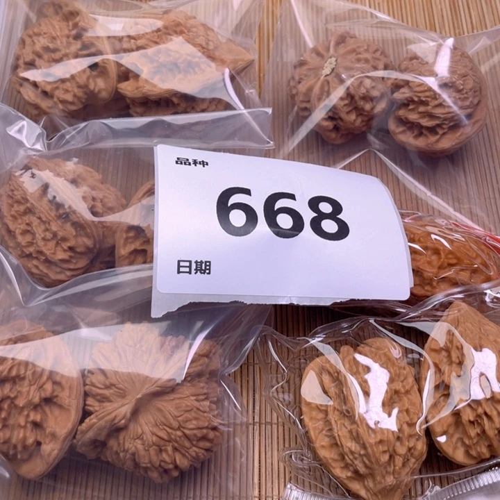 文玩核桃把件668号6对