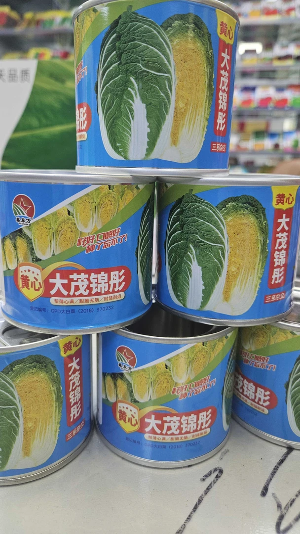 盒装黄心大茂锦彤大白菜种子一盒