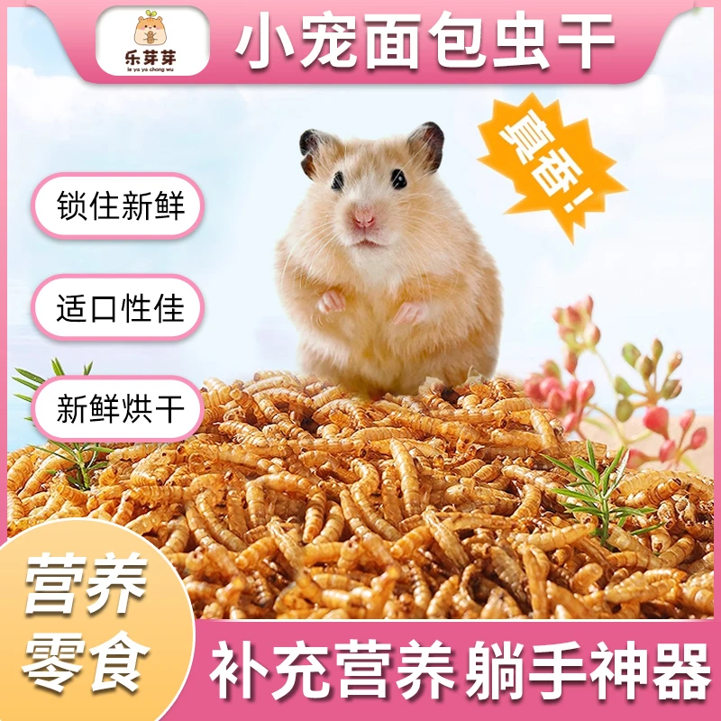乐芽芽【小宠零食】仓鼠粮食磨牙虫干饲料小零食金丝熊芦丁鸡高蛋白