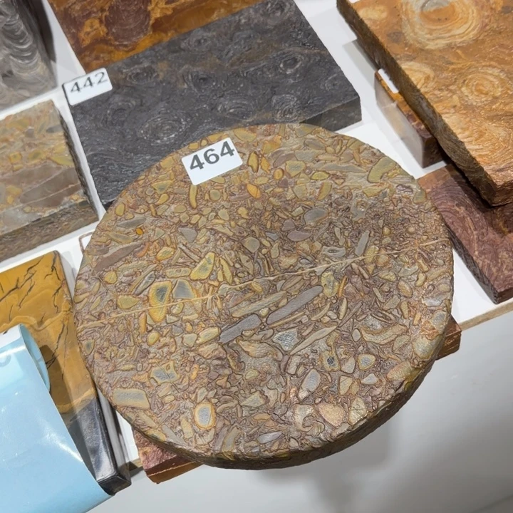 清***晨111111111111111111111