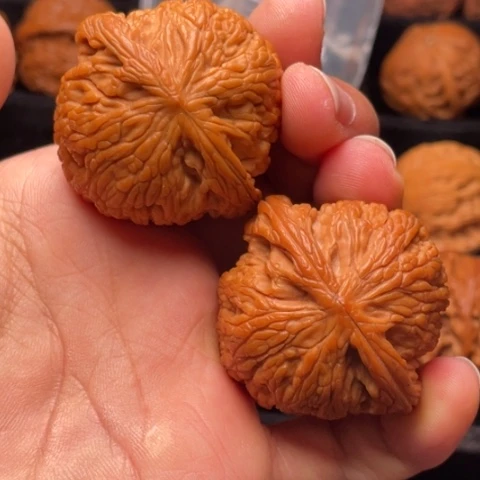 文玩核桃把件秦岭山脉核桃