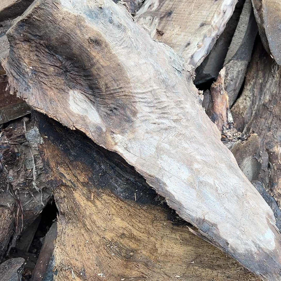 金丝楠禾****号1111111111111