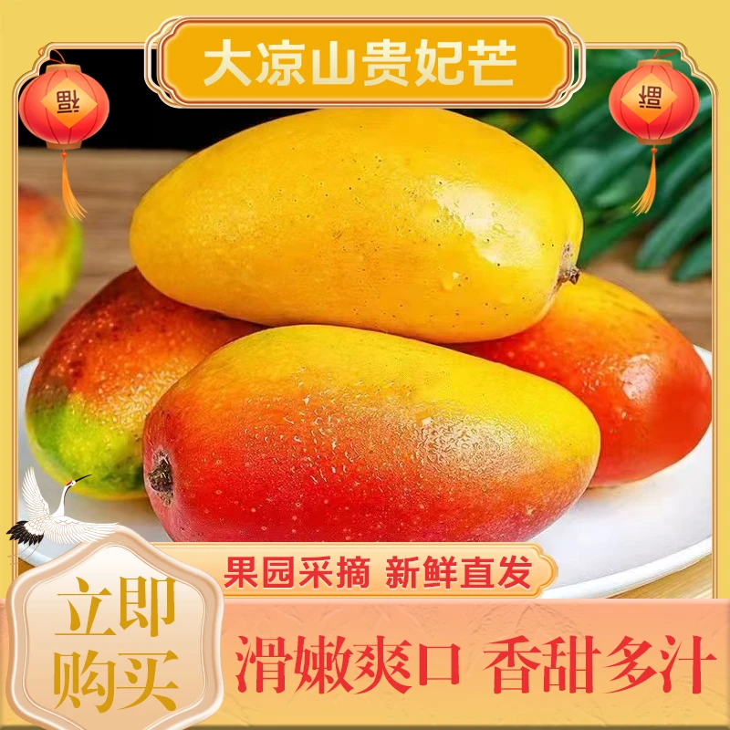 大凉山树上熟贵妃芒新鲜热带水果香甜多汁现摘现发