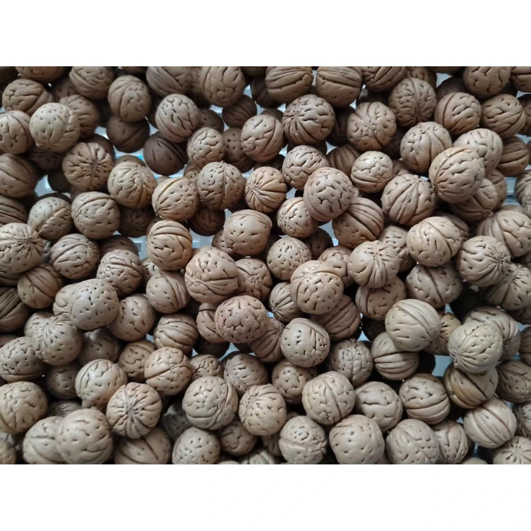 野生桃核散籽10元50颗不打孔