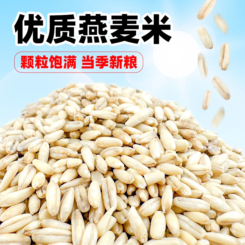 鹦鹉鸟食燕麦米燕麦仁雀麦野麦虎皮玄凤牡丹小太阳鸟粮食营养饲料